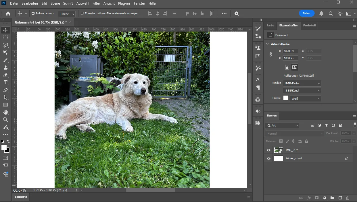 Photoshop Showcase 1 Photoshop Showcase 1